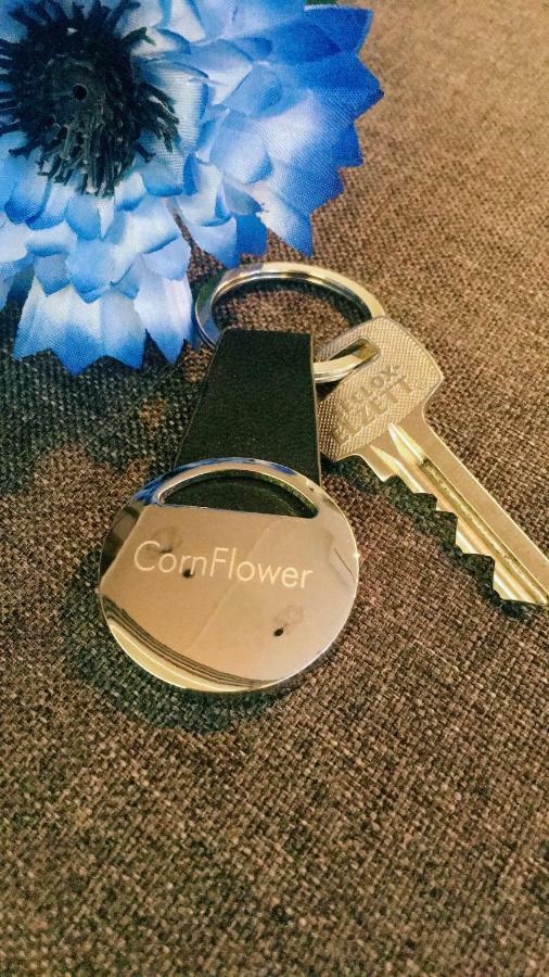 Cornflower Apartment Hajdúszoboszló Εξωτερικό φωτογραφία